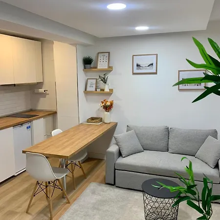 Zarzuela Campoamor Centro, Plaza De Garaje Oviedo