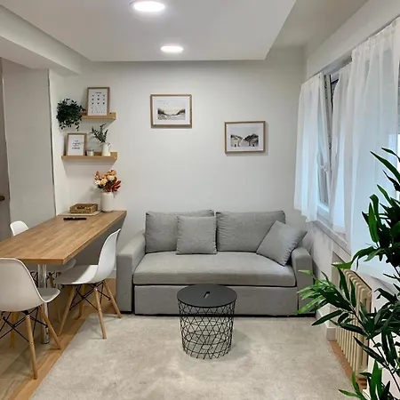 Zarzuela Campoamor Centro, Plaza De Garaje Oviedo